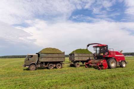 Combine harvesting a green field and unloads wheat for Silage onto a double trailer truck.の写真素材