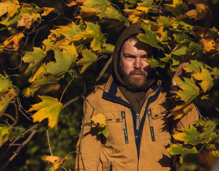 Portrait of young handsome man with gloomy angry face looks at camera in maple forestの写真素材