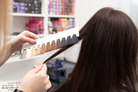 The hairdresser selects the color of the paint using a palette of hair colors while having appointment.の写真素材