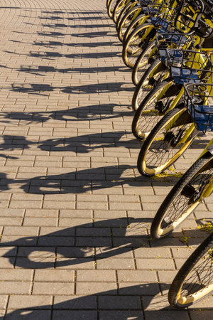 Bicycle rental service on city road parking with morning sunlight, public transportation concept. Row of city bikes for rent on a street of european town.の写真素材