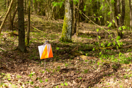 Orienteering. Control point Prism and electric composter for orienteering in the spring forest. Navigation equipment. The conceptの写真素材