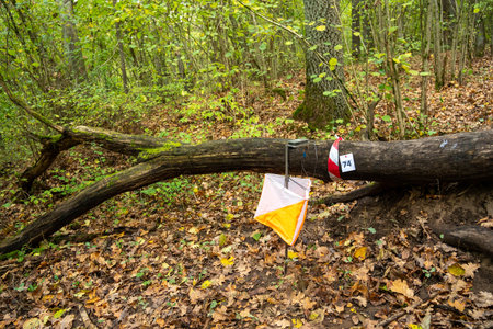 Orienteering. Control point Prism and electric composter for orienteering in the spring forest. Navigation equipment. The conceptの写真素材