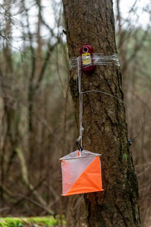 Orienteering. Control point Prism and electric composter for orienteering in the spring forest. Navigation equipment. The conceptの写真素材