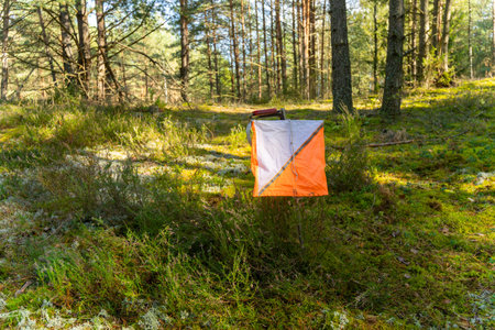 A prism marker and electronic composter at an orienteering control point in a sunlit pine forest....