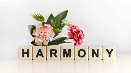 Harmony - a gentle text of relaxation on cubs with a floral backgroundの写真素材