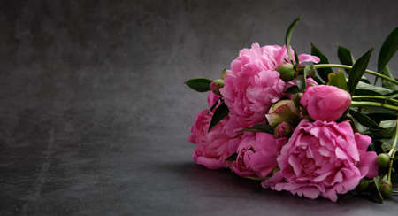 Bouquets of pink peonies illuminated by light on a dark gray backgroundの写真素材