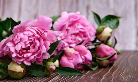 A bouquet of pink peonies on a dark wooden background flowerの写真素材