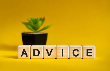ADVICE - business financial concept on a yellow background. Wooden cubes and flower in a pot.の写真素材