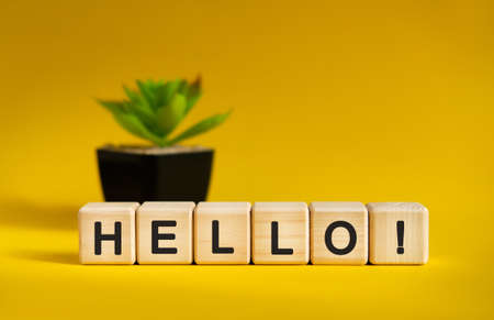 HELLO- HI concept on a yellow background. Wooden cubes and flower in a pot.の写真素材