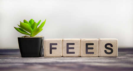 FEES - business concept on a white background. Wooden cubes with green flowerの写真素材