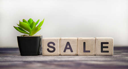 SALE - business concept on a white background. Wooden cubes with green flowerの写真素材