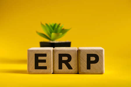 ERP - conceptual text on wooden cubes on a bright background and a black pot with a flowerの写真素材