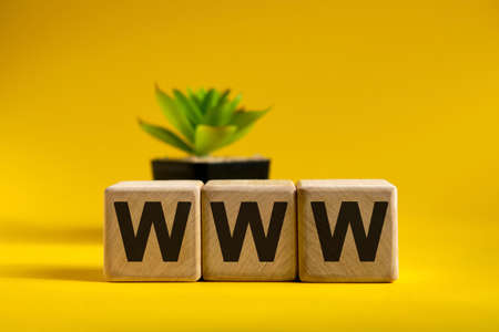WWW - conceptual text on wooden cubes on a bright background and a black pot with a flower behindの写真素材