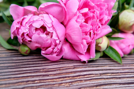 A bouquet of pink crimson peonies lie close-up on a wooden tableの写真素材