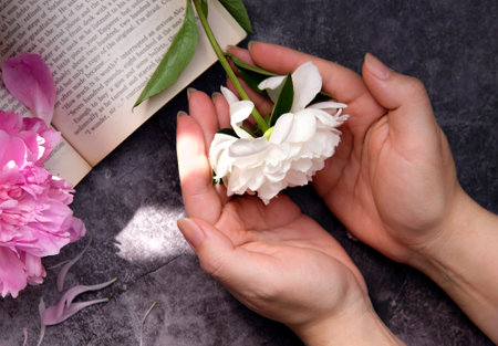 Pink and white peonies in a bouquet against the backdrop of the cityscape white peony on the stem in open boats on his handsの写真素材