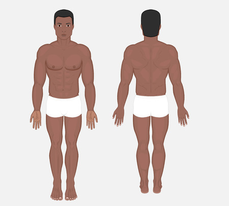 Naked body of African American man in full growth in shorts. Posterior, frontal, anterior, back view. Vector illustration for advertising, medical (health care), bodybuilding, sport publication. EPS 8のイラスト素材