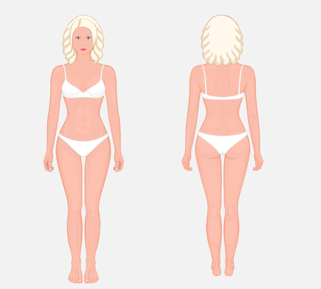 European woman naked body standing in full growth in underwear. Front
 and back view. Vector illustration for advertising, medical (health care), bodybuilding, sport publications.のイラスト素材