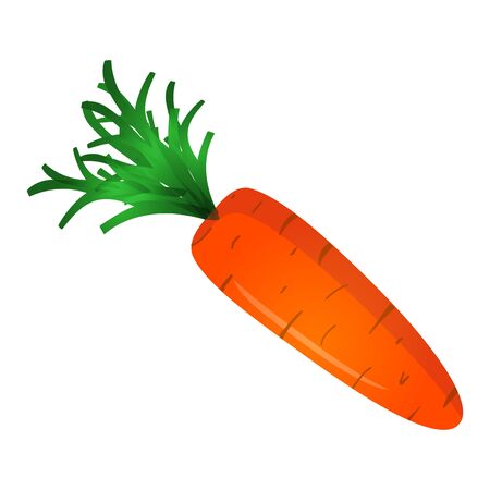 Carrot on a white backgraund. Vector illustrationのイラスト素材