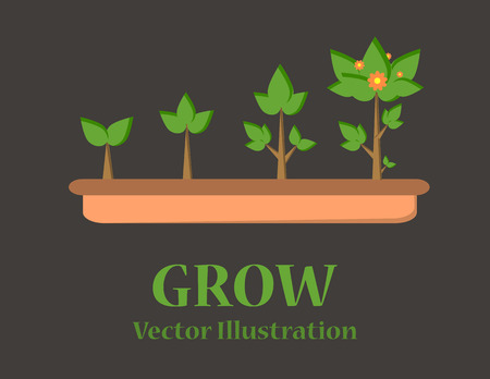 Infographic of planting tree. Seedling gardening plant. Seeds sprout in ground. Sprout, plant, tree growing agriculture icons. Vector illustration isolatedのイラスト素材