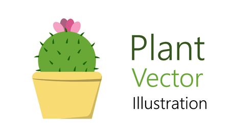 Flower pot with plant. It is used for design as an element for the interior. Vector illustrationの写真素材