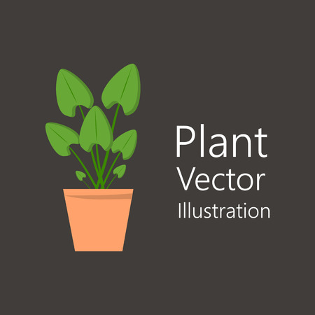 Flower pot with plant. It is used for design as an element for the interior. Vector illustrationのイラスト素材