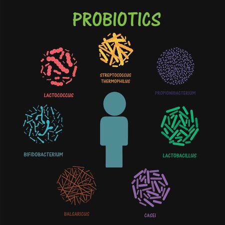 Set of probiotic bacteria. Good bacteria and microorganisms for human health. Microscopic probiotics, good bacterial flora. Flat vector illustrationのイラスト素材