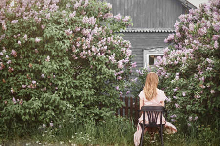 A girl on a vintage chair, on a bright spring day against the background of an old village house hidden in thick bushes of blooming lilacの写真素材