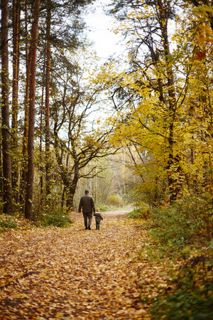 A father and his young son are walking along a forest alley covered with fallen leaves, in the golden colors of a bright autumn dayの写真素材
