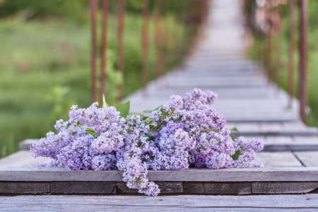 Bright lilac flowers on the wooden flooring of the old suspension bridge, against the background of exuberantly blooming summer natureの写真素材