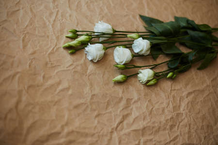Bouquet of flowers made of white eustoma, on a uniform light brown background with the texture of crumpled paperの写真素材