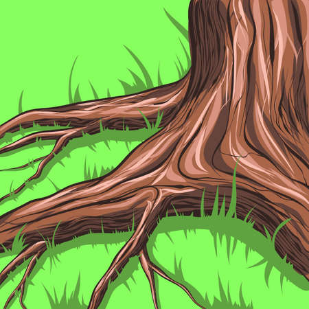 Tree and roots. Thick grass.のイラスト素材