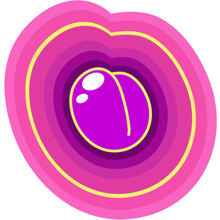 Purple plum. Juicy and ripe.のイラスト素材
