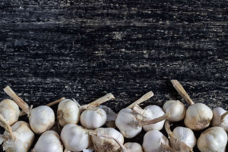 garlic on a dark background a lot of background heapの写真素材