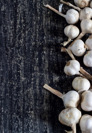 garlic on a dark background a lot of background heapの写真素材
