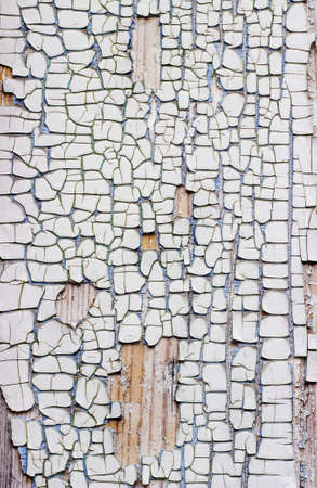 old wooden background with cracked paint whiteの写真素材