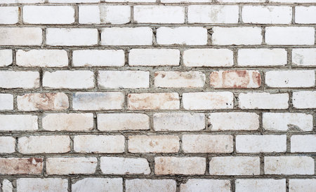 Wall from a white brick oldの写真素材