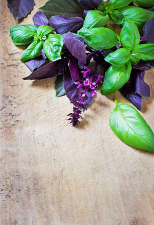 Bunch fresh basil on a wooden background. Aromatic spice.の写真素材