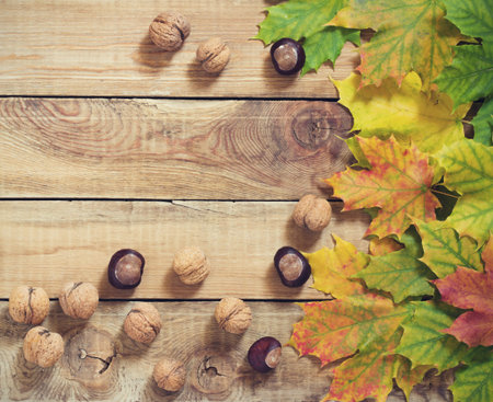 Autumn leaves nuts and chestnuts over old wooden rustic  background