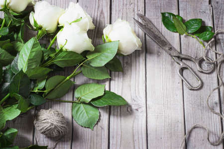 White Roses on the Wooden Table old scissors vintageの写真素材