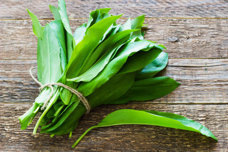 ramson (bear garlic) bunch tied with rope a wooden background