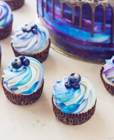 Bright festive blue cake with berries and chocolate and cupcakes with creamの写真素材