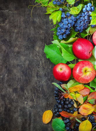 Assortment organic fruits berries apple grape damascene rowanberry dark wooden country background health care natural concept top viewの写真素材