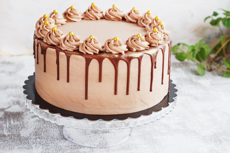 Chocolate Cake with Chocolate Fudge Drizzled Icing and Chocolate Curls on White Backdropの写真素材