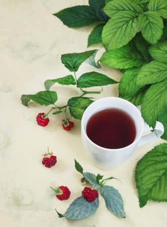 Raspberry tea with leaves and raspberries on a light backgroundの写真素材