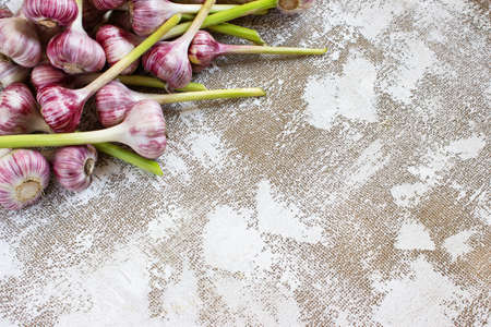 garlic on a light backgroundの写真素材