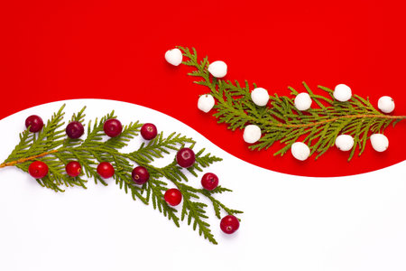 Red and white. Background of berries. Abstraction. Creative. Red Christmas background with ornament decoration. Christmas composition. Concept. Colorful diet and healthy food concept. Copy space.の写真素材