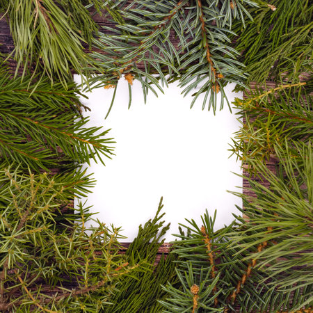 Christmas card. Christmas greeting layout template with fir branches. Christmas card on wooden...
