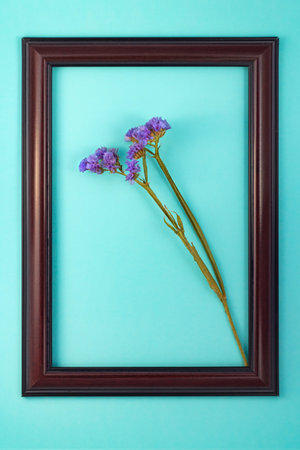 Composition dried colored flowers on a white background with the real shadow. Top view Image of dry flowers. Copy space. Romantic flowers. Place for text and design. Greeting card.の写真素材