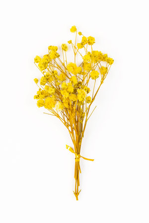 Flowers composition. Floral pattern. Postcard of dried flowers. Yellow flowers on white background....
