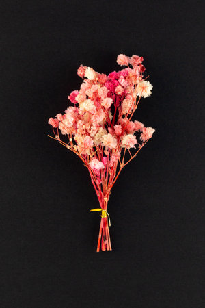 Flowers composition. Floral pattern. Postcard of dried flowers. Pink flowers on black background....